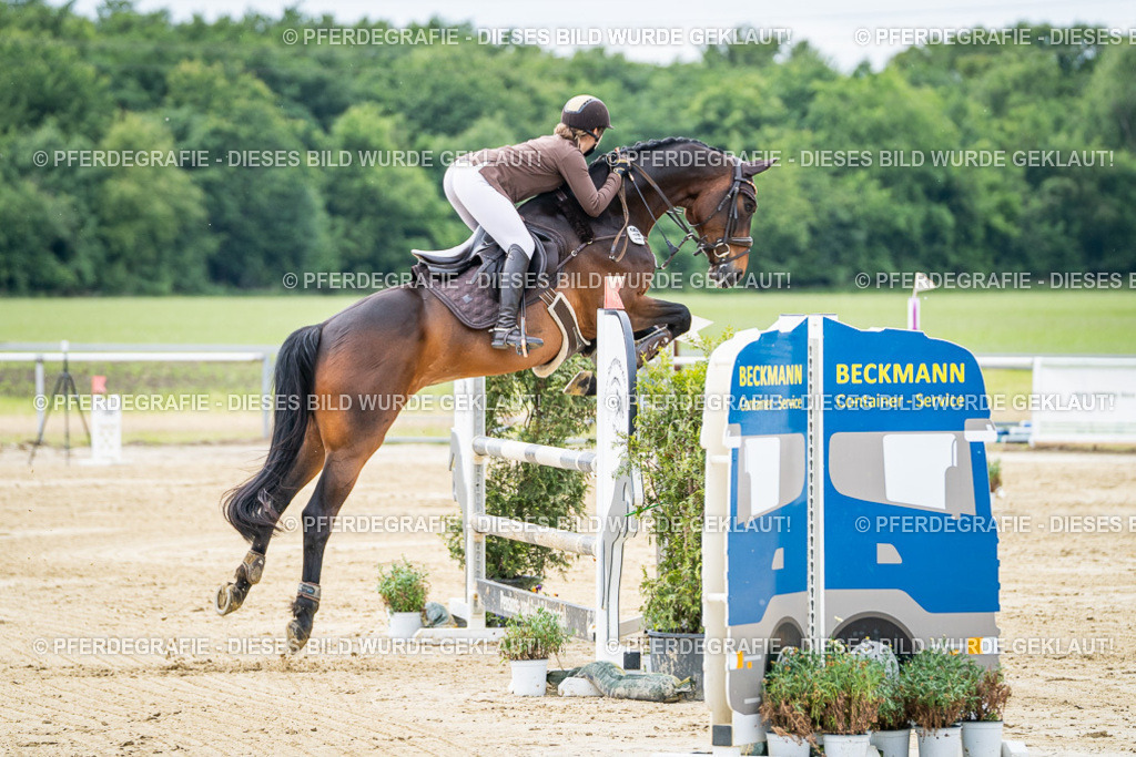 DSC04984 | Pferdegrafie