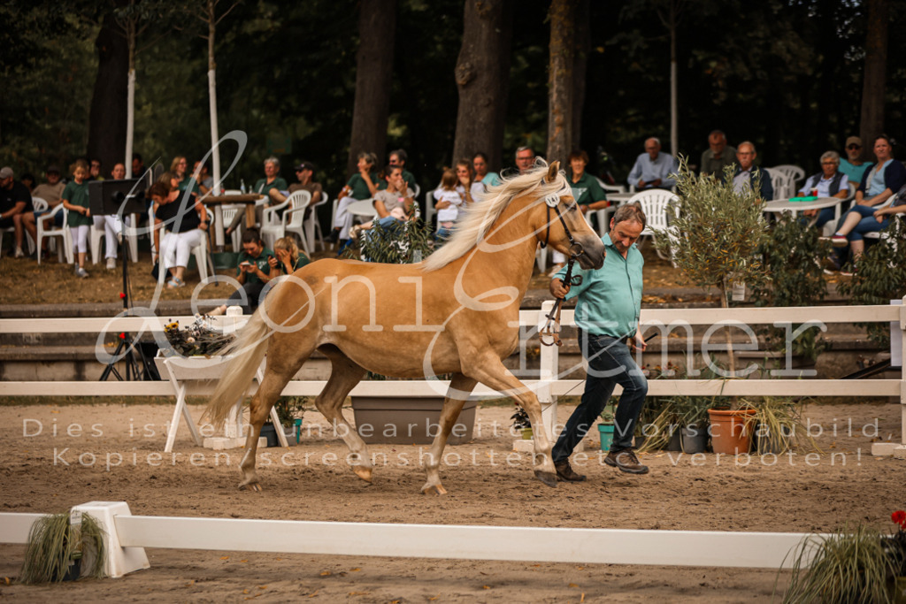 06.So00089 | Leoni Ertmer Photography - Realisiert mit Pictrs.com