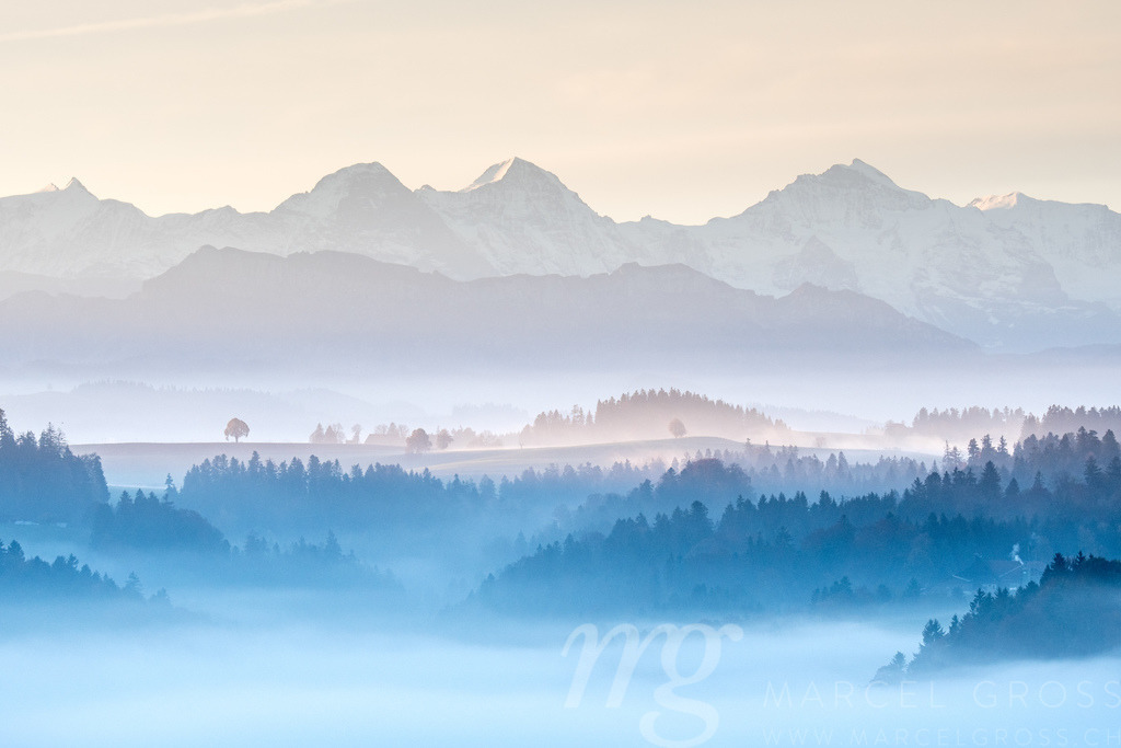 nebliger Herbstmorgen mit Eiger Mönch und Jungfrau | Die ideale Geschenkidee für Naturliebhaber. Naturbilder von Marcel Gross Photography für ihr Zuhause in den verschiedensten Formaten und Materialien. - Realisiert mit Pictrs.com