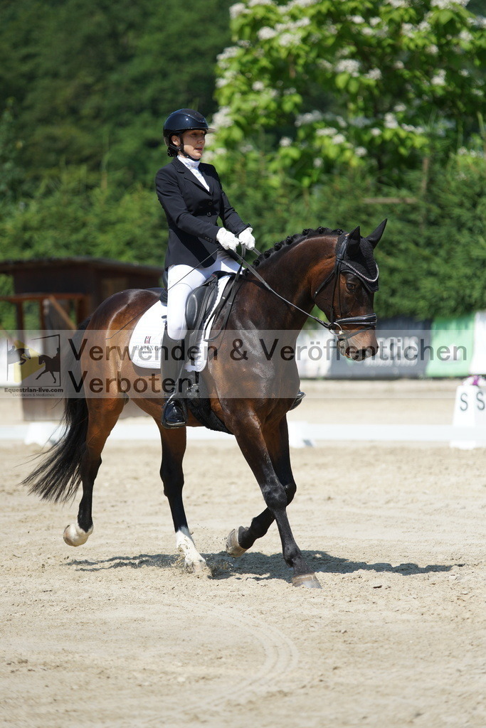 DSC01601 | equestrian-live-com