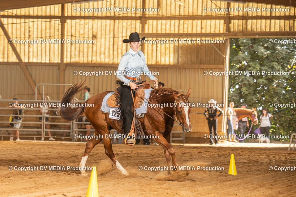 NID03553 | dv-media-shop - Realisiert mit Pictrs.com