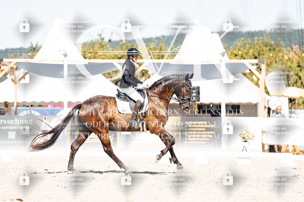 CK908603 | Turnierfotografie Pferdefotografie Trier Rheinland-Pfalz Pferdesport Reitsport Tierfotografie Sportfotografie Pferdevideo Pferdevideografie Equestrianvideography equestrianphotography  - Realisiert mit Pictrs.com