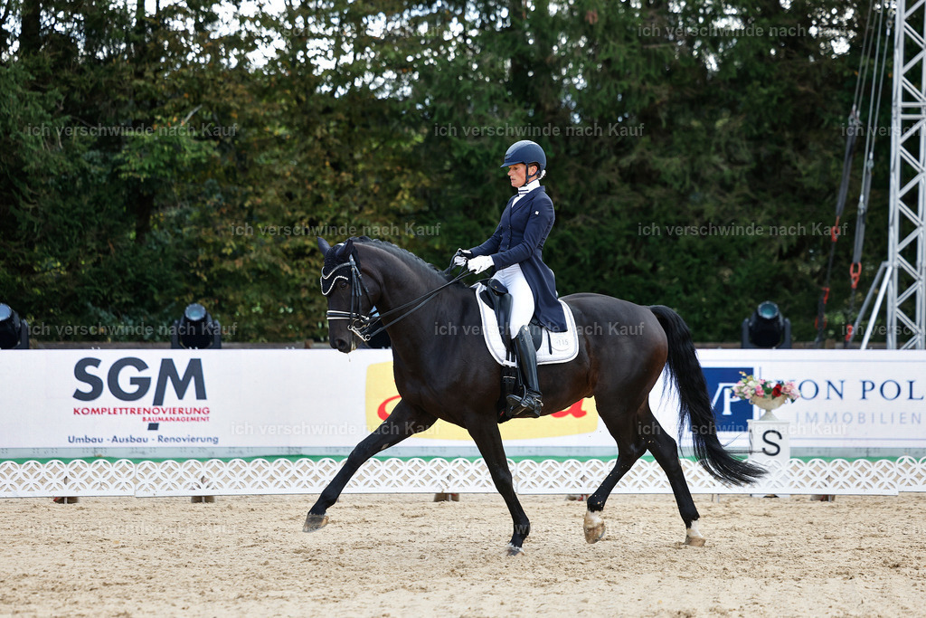 10-115-ST.GEORG SPECIAL -StoibPH-3189 | working equitationturnier fotograf videograf stoibphotography marixx film working equitation deutschland reitsport turnierfotografie eventfotografie equestrian events