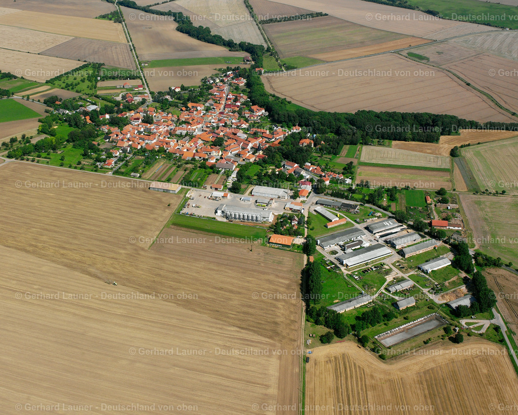 2589771 | Neunheilingen