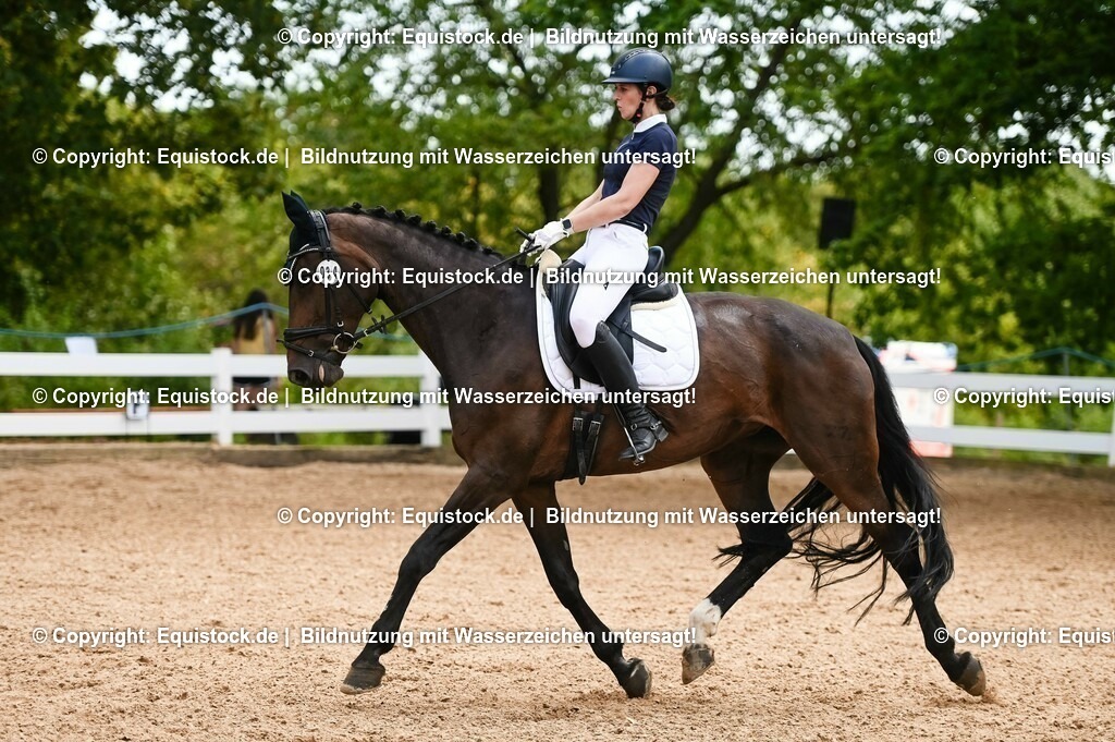 20230715_05_Dressurprüfung Kl.A++_0215 | equistock