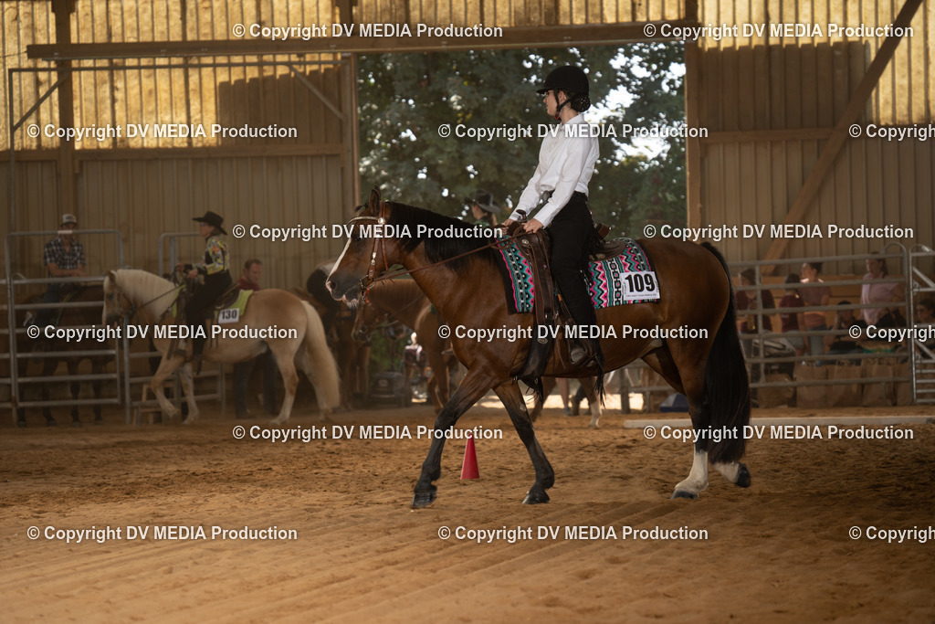 NID03006 | dv-media-shop - Realisiert mit Pictrs.com