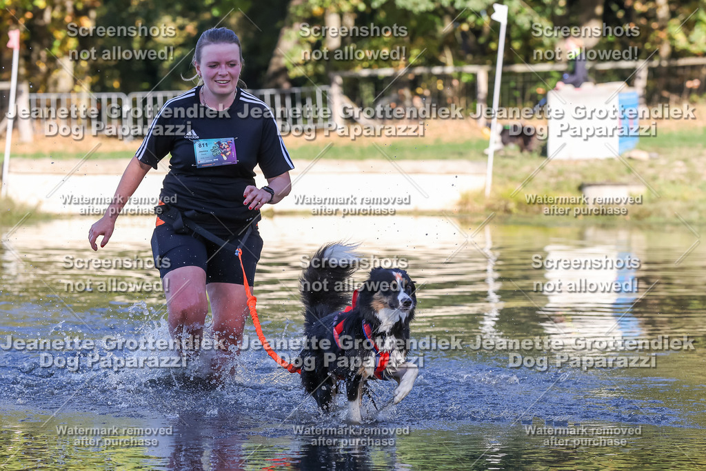 Dog Paparazzi - Strongdog 10-25-8857 | Dog Paparazzi Jeanette Grottendiek Fotografie & Videografie - Realisiert mit Pictrs.com