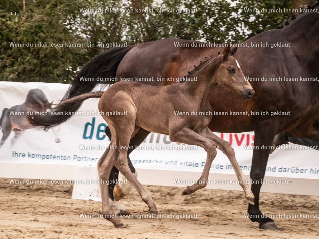 A10I3576 15.58.10 | photographylinaismer - Realisiert mit Pictrs.com