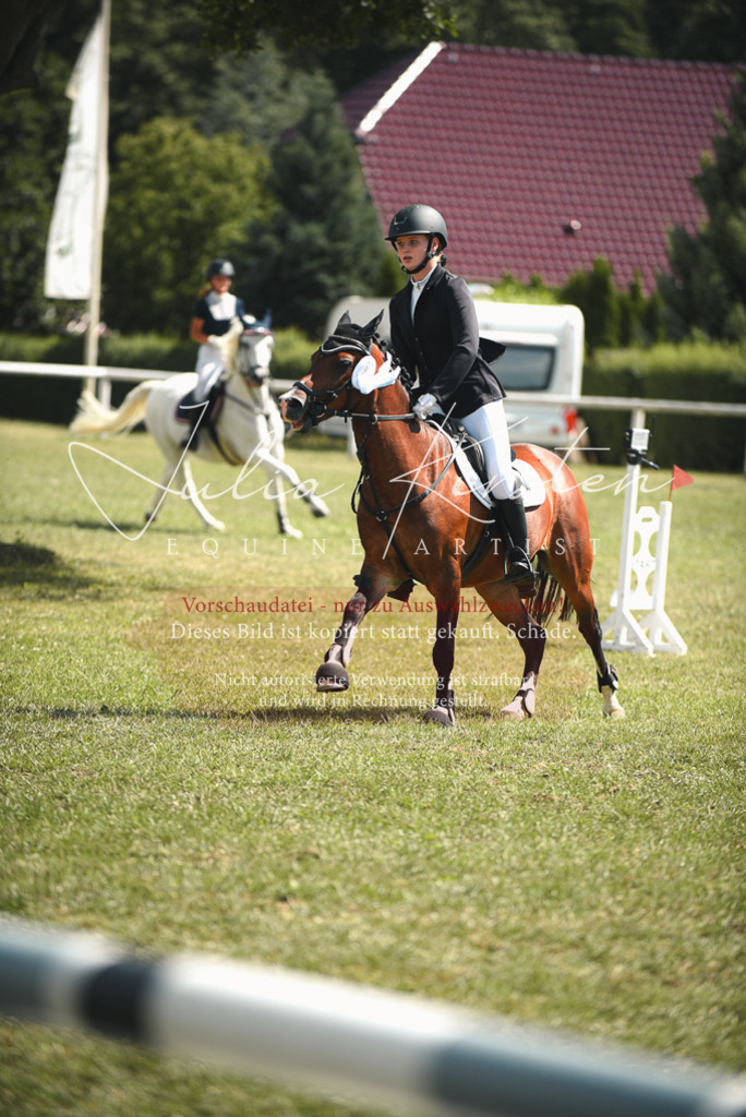 DSC_6856 | Pferde- und Turnierfotografie in Westsachsen. Pferdeportraits, Auftragszeichnungen und intuitive Kunst.