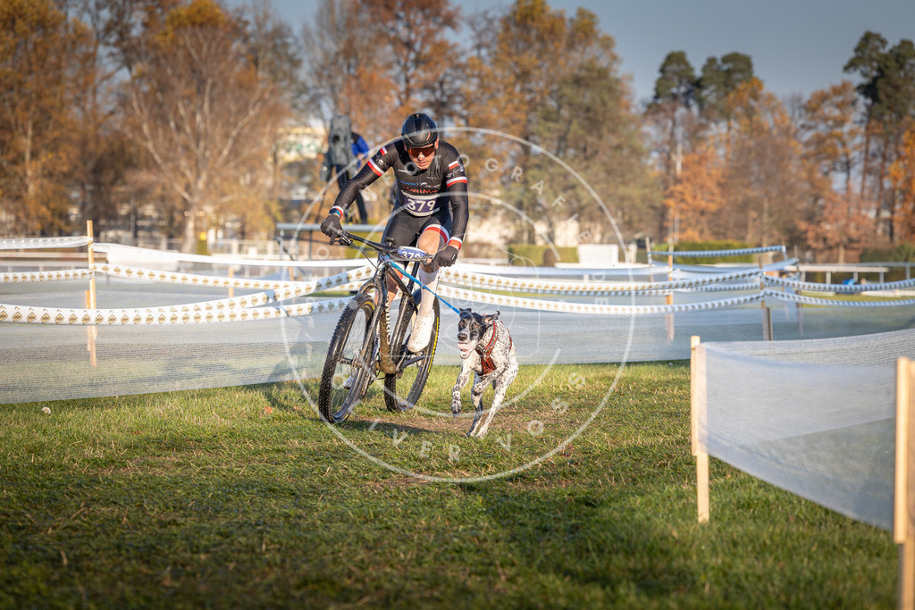 CaniXpix_0L8A3705 | Hundefotografie, Tierfotograf, Pfotenfotografie, Fotoshooting Hund, Hunde Portrait, Hundesport, Hundeportraits, Heideshooting, Hunde, Sportfotograf, Hundefotograf, Turnierhundsport, THS,  - Realisiert mit Pictrs.com