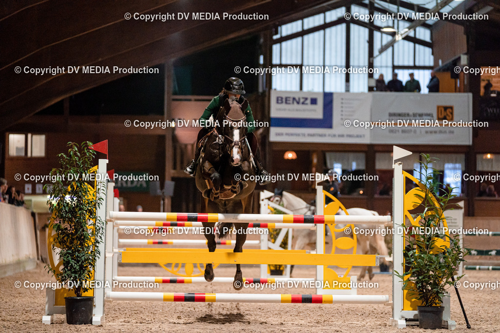 Springen Tag 2-803 | dv-media-shop - Realisiert mit Pictrs.com