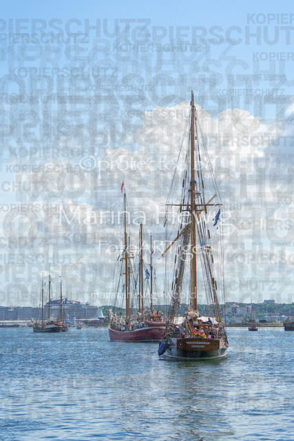 Windjammer24_MarinaHewig-4608 | Fotografie, FotoArt, PferdesportArt, Pferdesportfotografie, Landschaftsfotografie, Reisefotografie, Reise, Pferde - Realisiert mit Pictrs.com