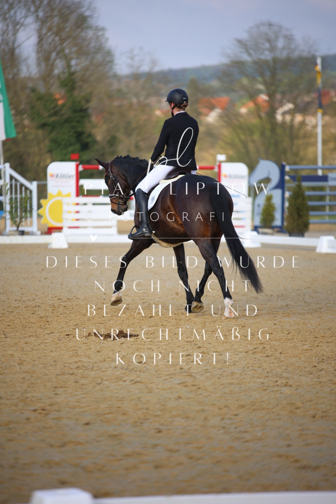 IMGT8978 | pl-fotografie