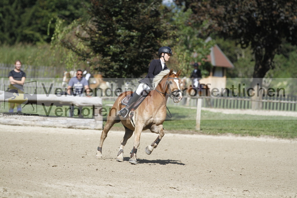 _MG_4629 | equestrian-live-com