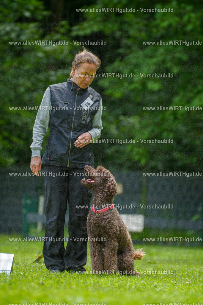 @allesWIRTHgut_Tierfotografie - www.allesWIRTHgut.de - 7R501098 | Professionelle Tierfotografie in Mönchengladbach von Daniel Wirth (allesWIRTHgut). Liebevolle & natürliche Bilder von Hunden & Katzen für unvergessliche Erinnerungen.