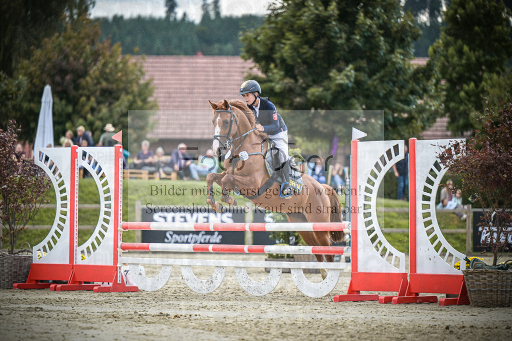 DOS_0602 | Entdecke hochwertige Reitturnierfotos von Foto Oger. Professionell, emotional und authentisch – jetzt Lieblingsmomente im Shop bestellen.Deutschlandweite Turnierfotografie. - Realisiert mit Pictrs.com
