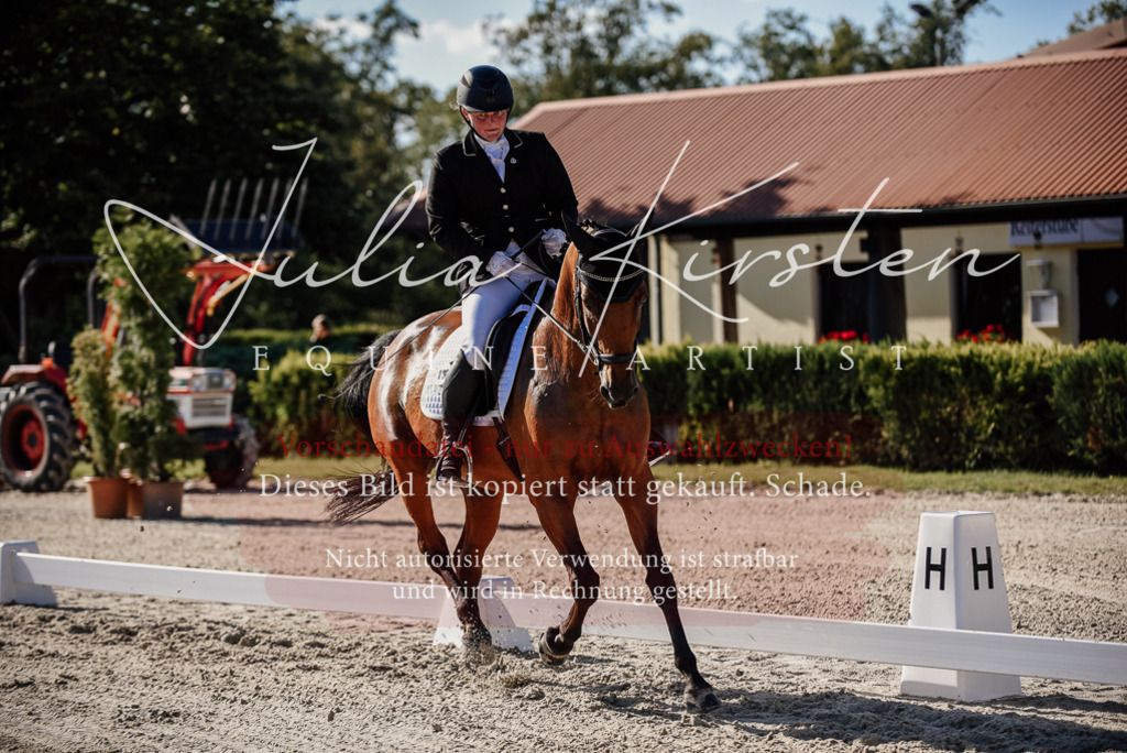 DSC_0380 | Pferde- und Turnierfotografie in Westsachsen. Pferdeportraits, Auftragszeichnungen und intuitive Kunst.