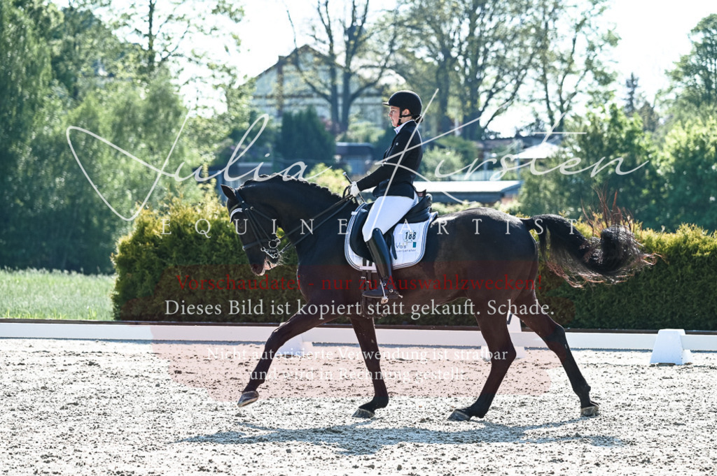 20230514_JK-Röhrsdorf-18-167 | Pferde- und Turnierfotografie in Westsachsen. Pferdeportraits, Auftragszeichnungen und intuitive Kunst.