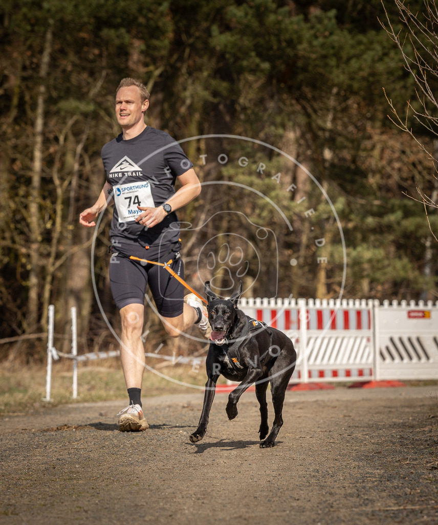 DV3A5659 | Hundefotografie, Tierfotograf, Pfotenfotografie, Fotoshooting Hund, Hunde Portrait, Hundesport, Hundeportraits, Heideshooting, Hunde, Sportfotograf, Hundefotograf, Turnierhundsport, THS,  - Realisiert mit Pictrs.com