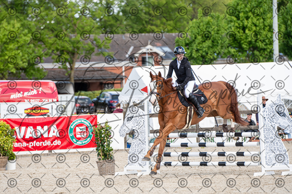 KPT_5050 | andre_photographic