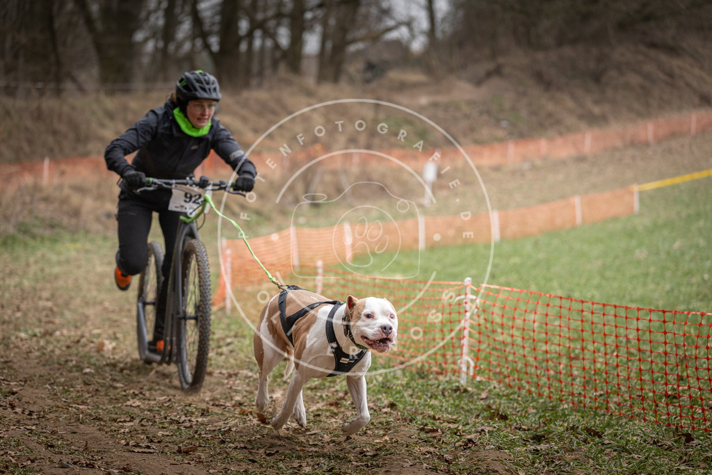 Pfotenfotografie_DV3A6798 | Hundefotografie, Tierfotograf, Pfotenfotografie, Fotoshooting Hund, Hunde Portrait, Hundesport, Hundeportraits, Heideshooting, Hunde, Sportfotograf, Hundefotograf, Turnierhundsport, THS,  - Realisiert mit Pictrs.com
