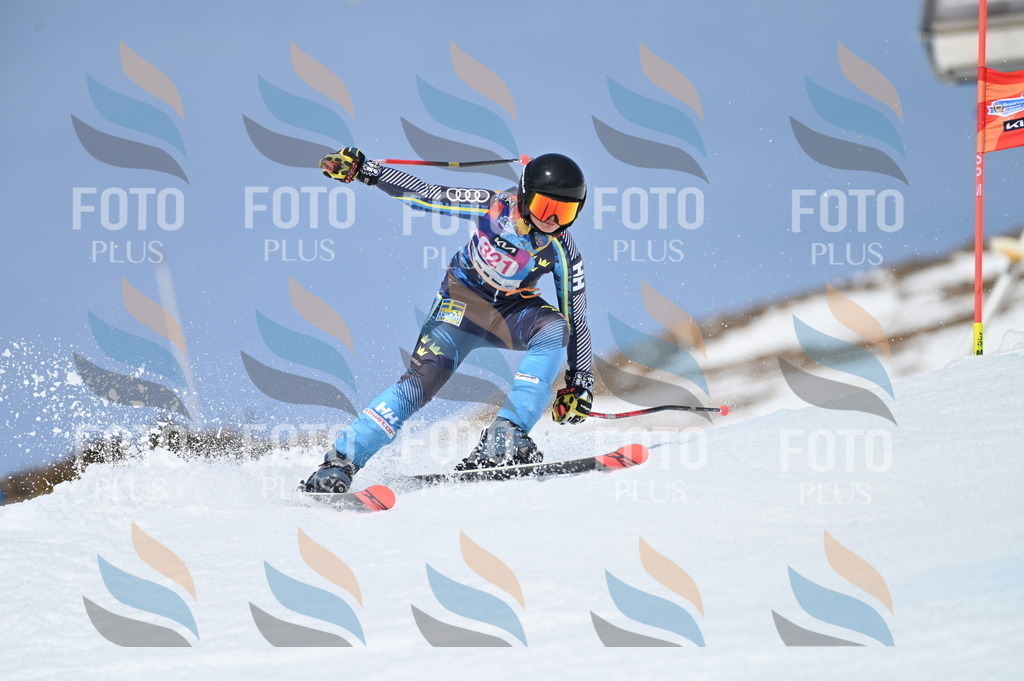 BGV_3113 | holidayphoto