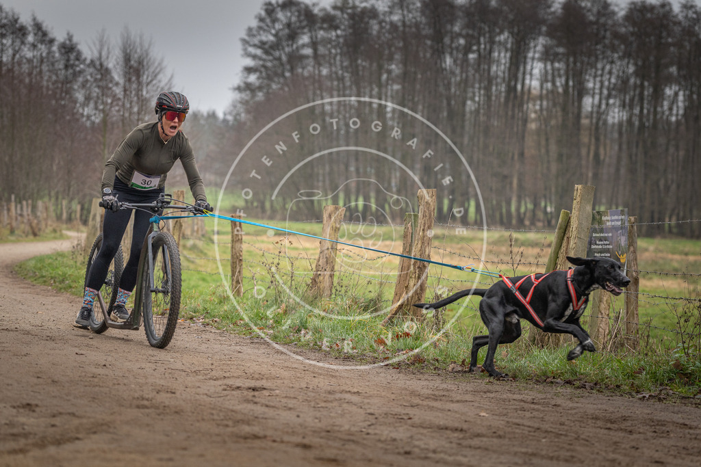 Pfotenfotografie_DV3A2216 | Hundefotografie, Tierfotograf, Pfotenfotografie, Fotoshooting Hund, Hunde Portrait, Hundesport, Hundeportraits, Heideshooting, Hunde, Sportfotograf, Hundefotograf, Turnierhundsport, THS,  - Realisiert mit Pictrs.com