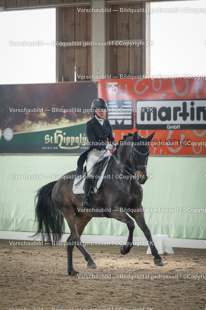 _D5A5239 | Emotionale Pferde- & People-Fotografie rund um Heidelberg, Leimen & Umgebung. Natürliche Fotos von Pferd, Mensch & Familie. Jetzt Termin sichern!