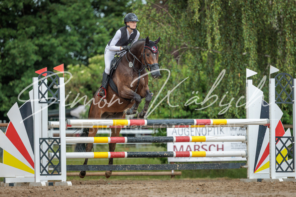 20260530-_3LI2792 | Tierfotografie Pferde, Hunde, Katzen, Haustiere.
Turnierfotografie Reitturniere, Reiten, Springreiten, Dressur in Hanau, dem Main-Kinzig-Kreis und dem Rhein-Main- Gebiet um Frankfurt