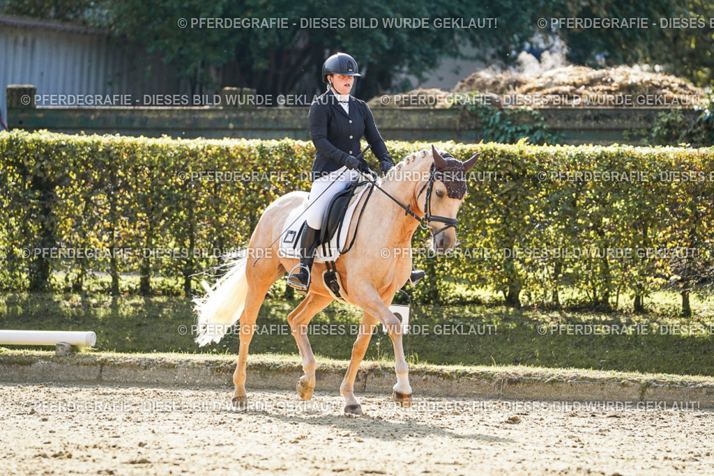 DSC05852 | Pferdegrafie