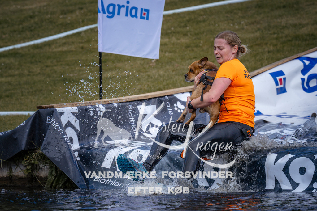 _ZZ917130917 | kk-dogfotos