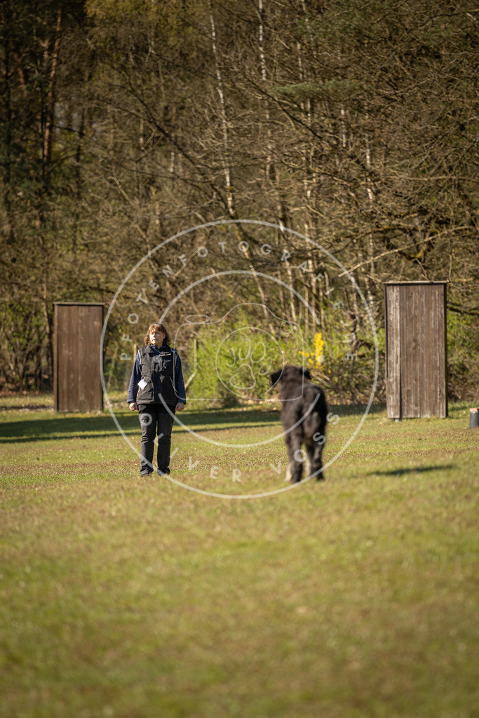 Pfotenfotografie_DV3A0082 | Hundefotografie, Tierfotograf, Pfotenfotografie, Fotoshooting Hund, Hunde Portrait, Hundesport, Hundeportraits, Heideshooting, Hunde, Sportfotograf, Hundefotograf, Turnierhundsport, THS,  - Realisiert mit Pictrs.com