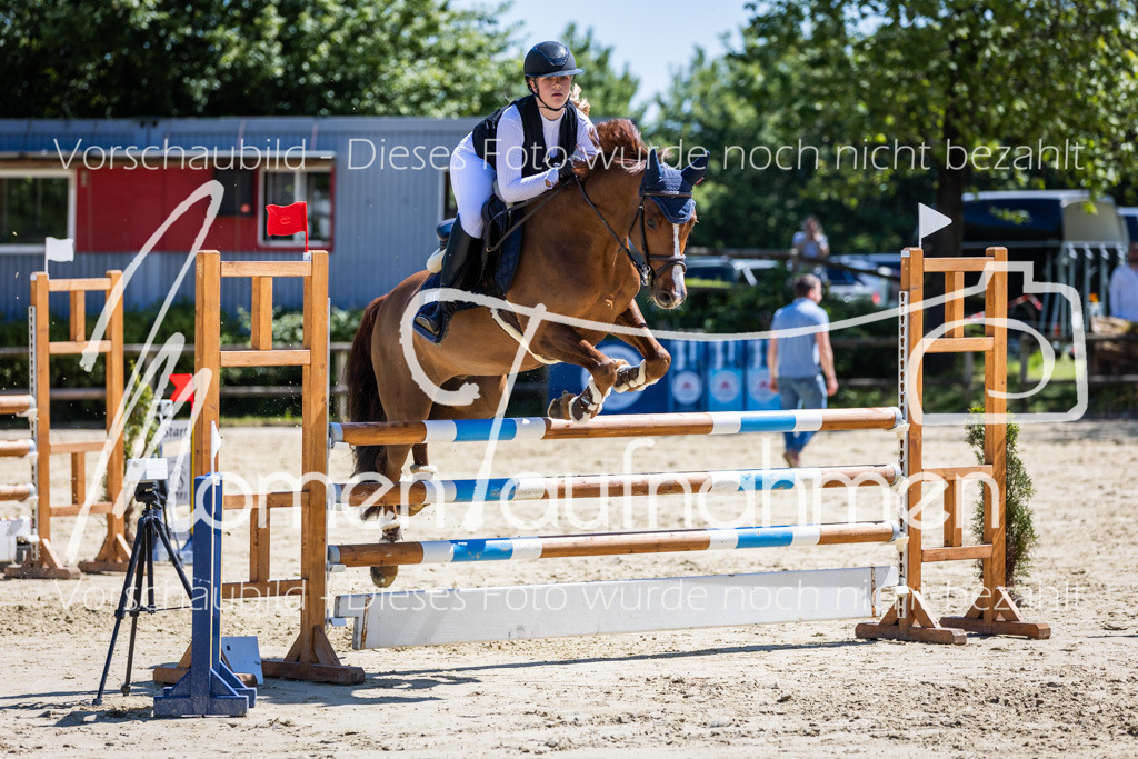 Donop24-Stil-L-084 | MomenTaufnahmen Pferdesportfotos