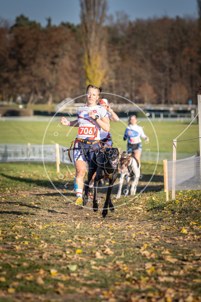 CaniXpix_DV3A1511 | Hundefotografie, Tierfotograf, Pfotenfotografie, Fotoshooting Hund, Hunde Portrait, Hundesport, Hundeportraits, Heideshooting, Hunde, Sportfotograf, Hundefotograf, Turnierhundsport, THS,  - Realisiert mit Pictrs.com