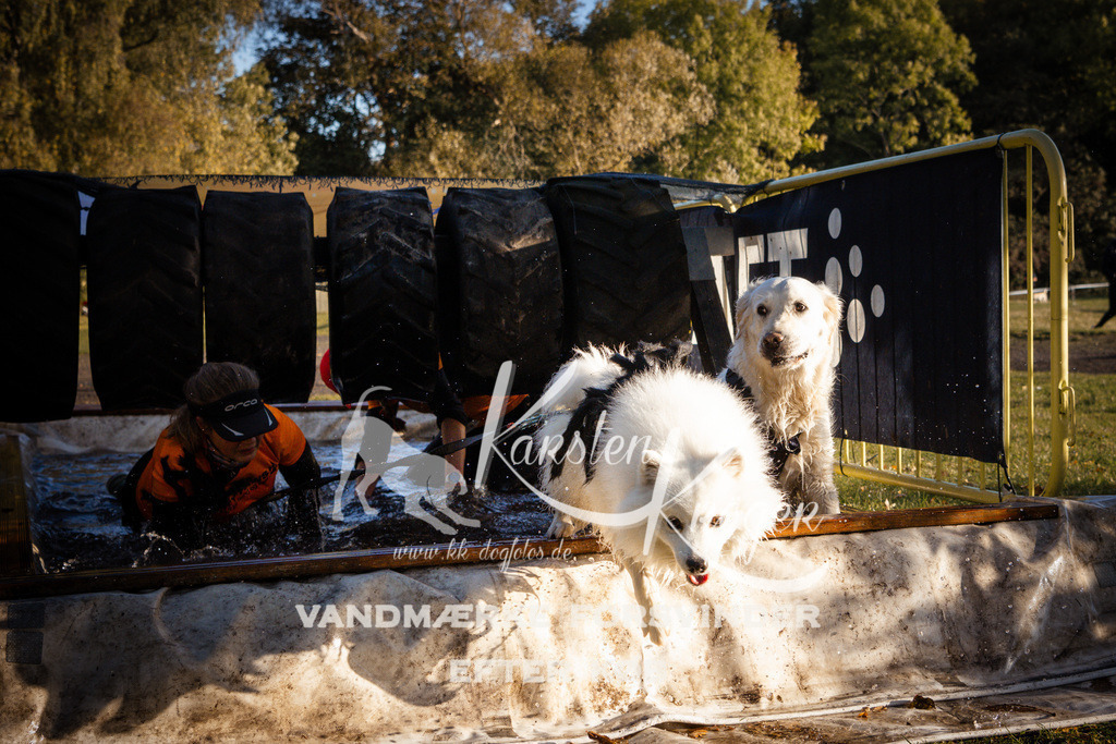 0928_ZZ91117 | kk-dogfotos