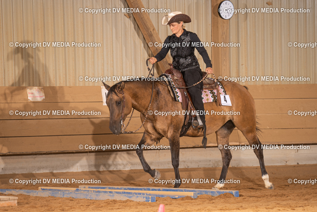 NID00616 | dv-media-shop - Realisiert mit Pictrs.com