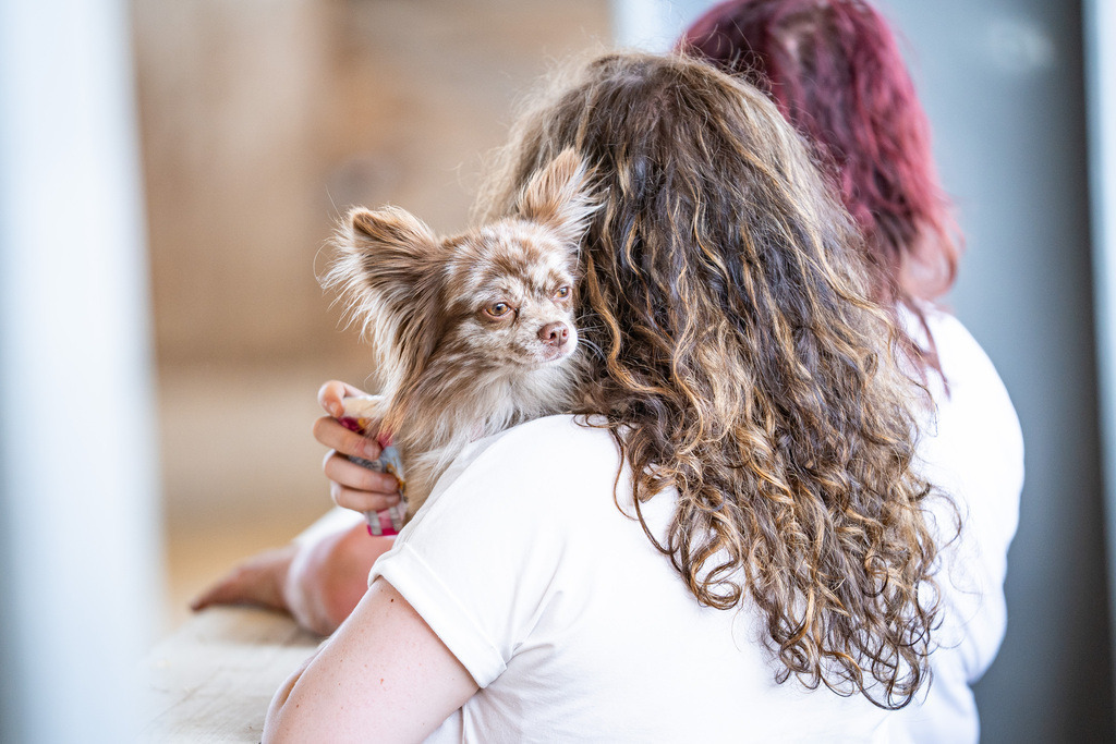 DSC03851 | Pferdegrafie