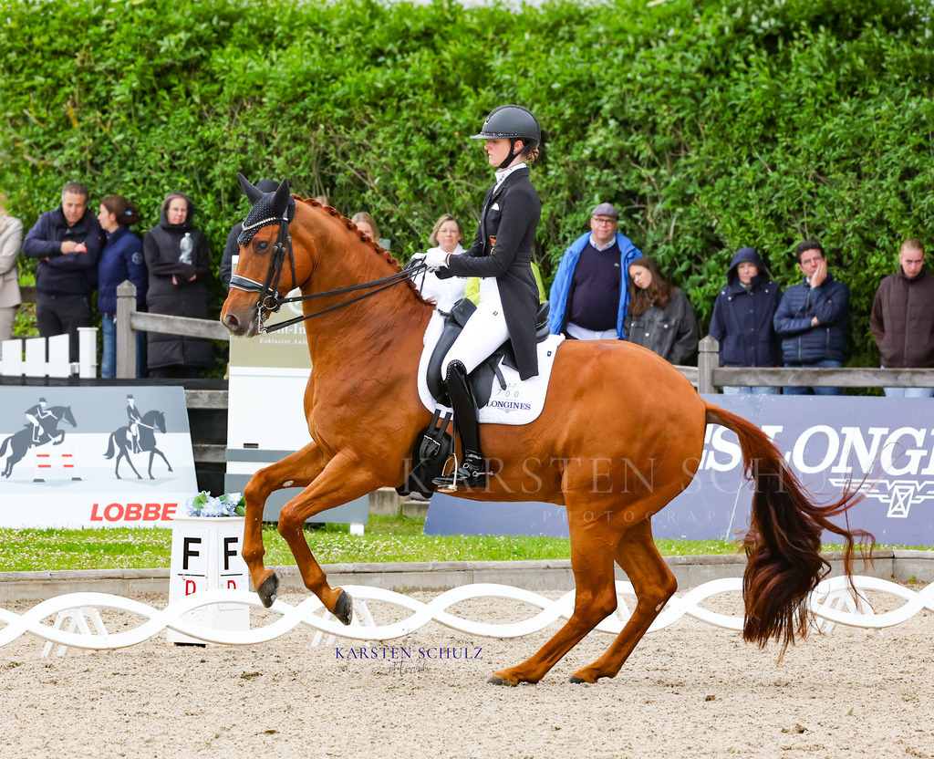 1B3A8514 | Reitsport Reiten