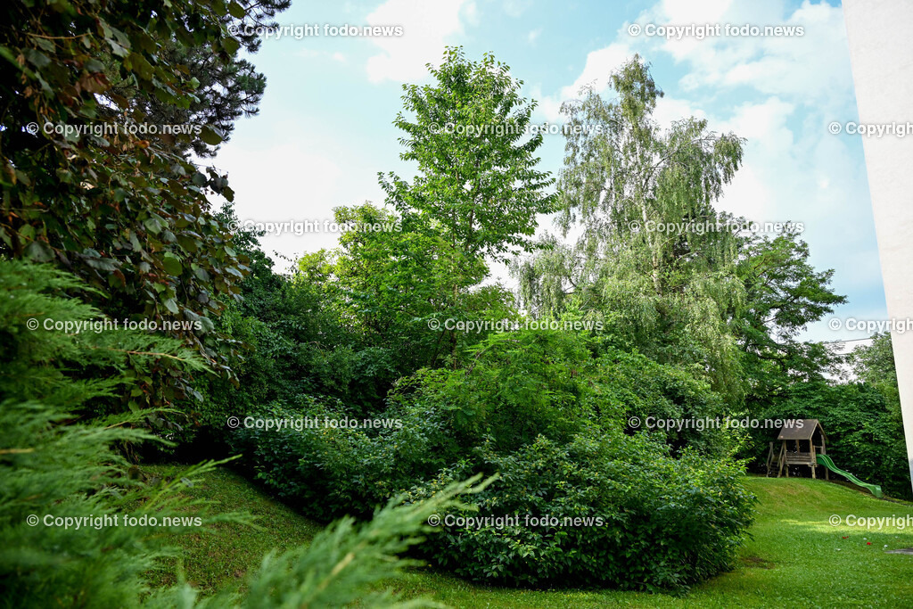 Linz_ Oed_ Europastrasse_ 28.06.2024-2 | 28.06.2024, Linz, AUT, Oed im Bild Europastrasse, Baeume, Gruenguertel, Garten, Parkplatz, Strasse, Allee