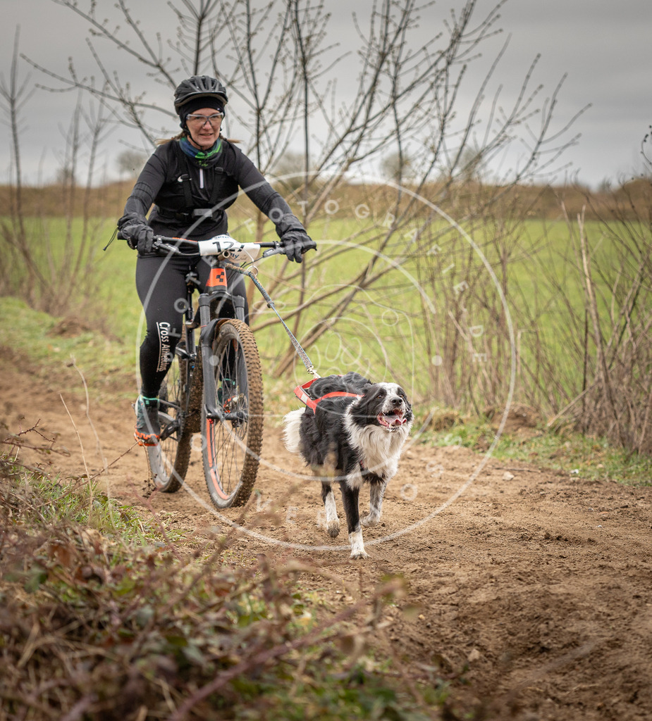 DV3A1123 | Hundefotografie, Tierfotograf, Pfotenfotografie, Fotoshooting Hund, Hunde Portrait, Hundesport, Hundeportraits, Heideshooting, Hunde, Sportfotograf, Hundefotograf, Turnierhundsport, THS,  - Realisiert mit Pictrs.com