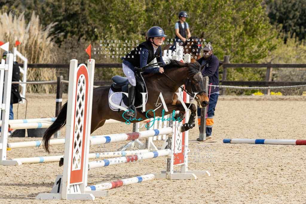 IMG_3458 | s-jay-photography - Realisiert mit Pictrs.com