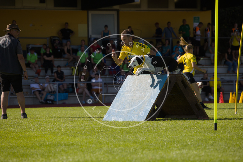 0L8A8488 | Hundefotografie, Tierfotograf, Pfotenfotografie, Fotoshooting Hund, Hunde Portrait, Hundesport, Hundeportraits, Heideshooting, Hunde, Sportfotograf, Hundefotograf, Turnierhundsport, THS,  - Realisiert mit Pictrs.com