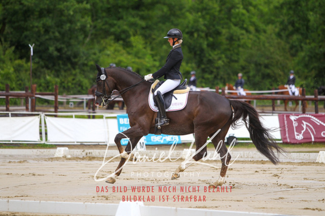 DKP40543 | Turniersportfotografie; Pferdefotografie; Dressurfotografie