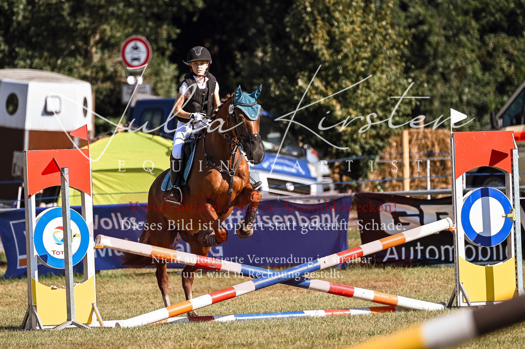 DSC_5321 | Pferde- und Turnierfotografie in Westsachsen. Pferdeportraits, Auftragszeichnungen und intuitive Kunst.