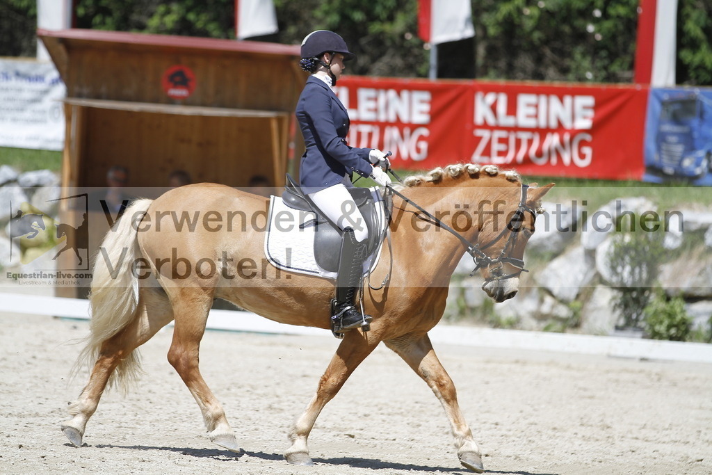 _MG_5066 | equestrian-live-com