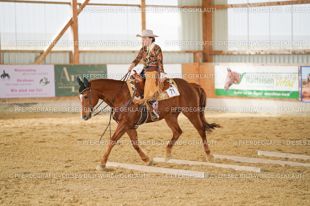 DSC04890 | Pferdegrafie