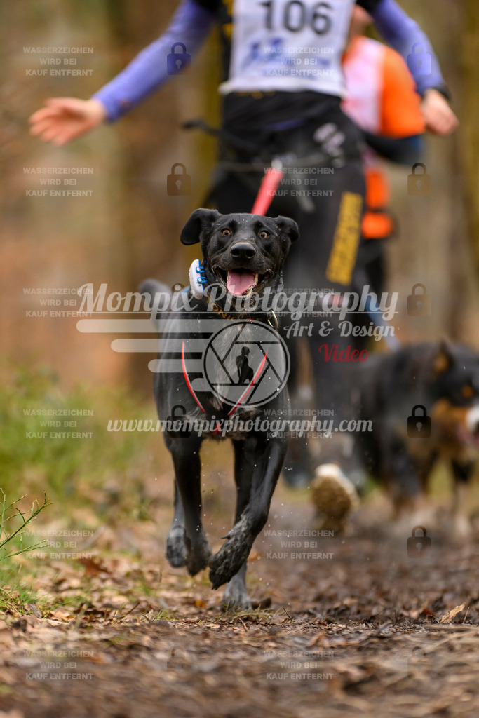 MompixPhotography_CDSM24_SA_Fun-14 | PayLife