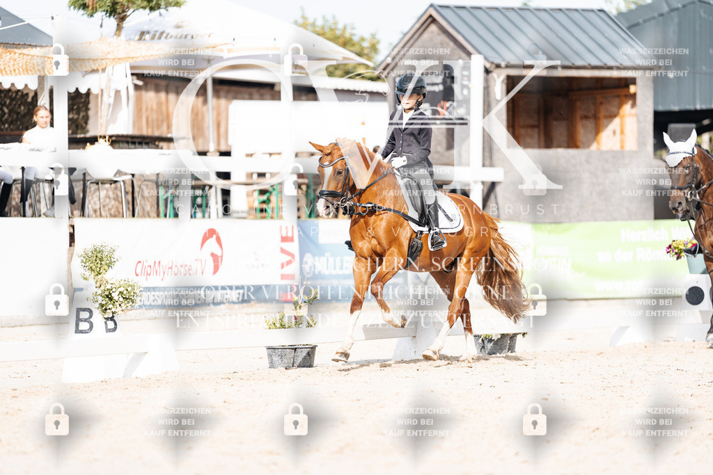 CK905281 | Turnierfotografie Pferdefotografie Trier Rheinland-Pfalz Pferdesport Reitsport Tierfotografie Sportfotografie Pferdevideo Pferdevideografie Equestrianvideography equestrianphotography  - Realisiert mit Pictrs.com