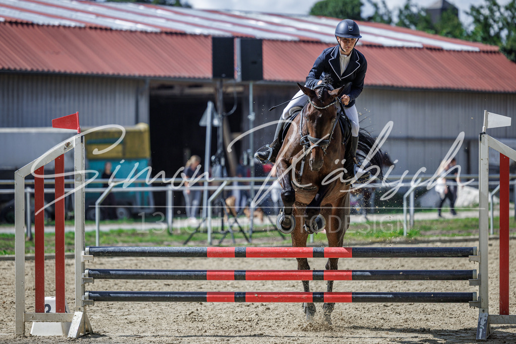 20260905-_3LI8941 | Tierfotografie Pferde, Hunde, Katzen, Haustiere.
Turnierfotografie Reitturniere, Reiten, Springreiten, Dressur in Hanau, dem Main-Kinzig-Kreis und dem Rhein-Main- Gebiet um Frankfurt