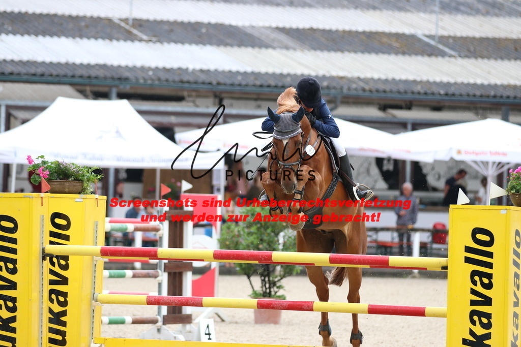 IMG_8483 | lmwpictures - Realisiert mit Pictrs.com